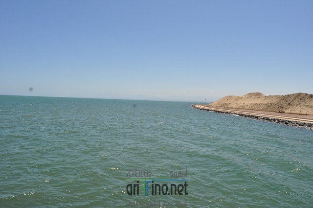 DSC_0042 (نسخ)