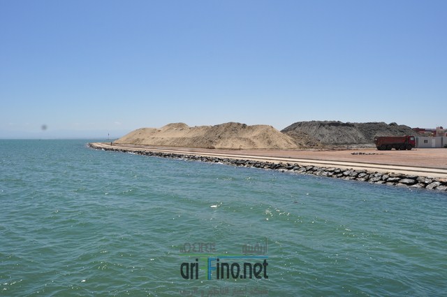 DSC_0043 (نسخ)