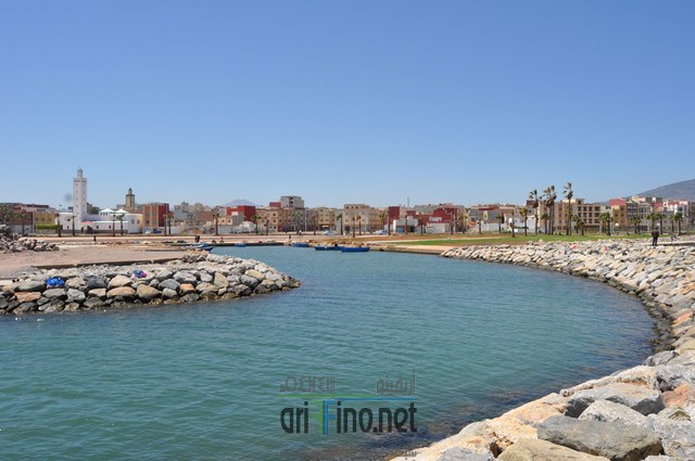 DSC_0044 (نسخ)