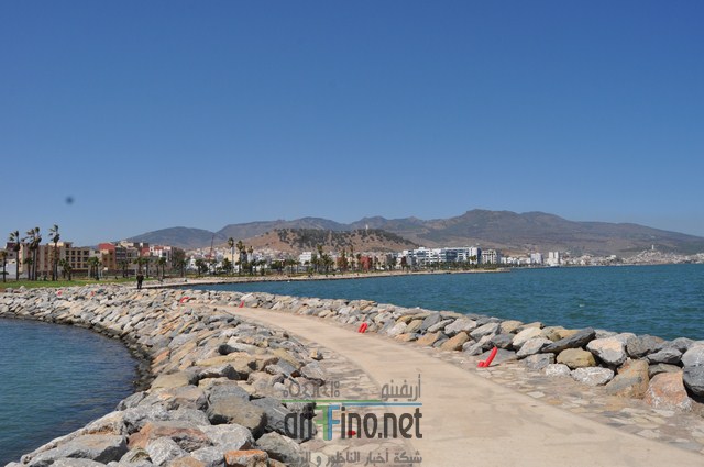 DSC_0045 (نسخ)