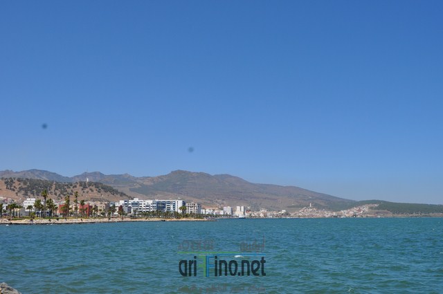 DSC_0048 (نسخ)
