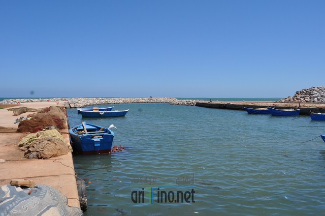 DSC_0050 (نسخ)