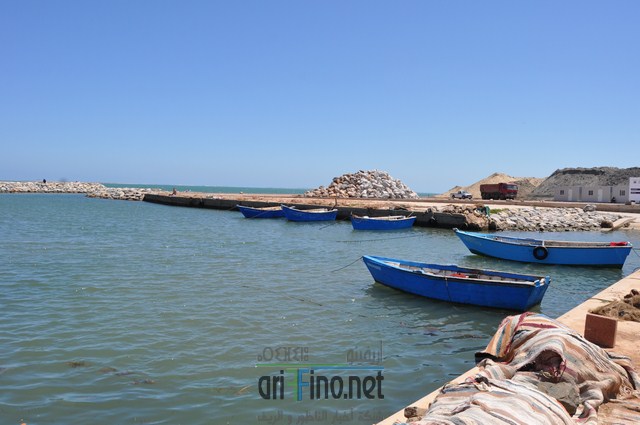 DSC_0051 (نسخ)