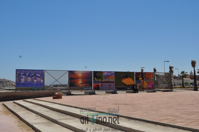 DSC_0052 (نسخ)