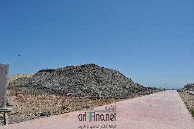 DSC_0059 (نسخ)