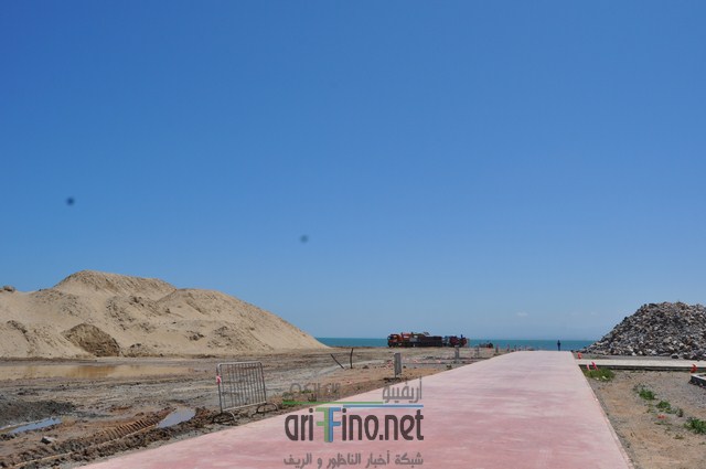 DSC_0063 (نسخ)