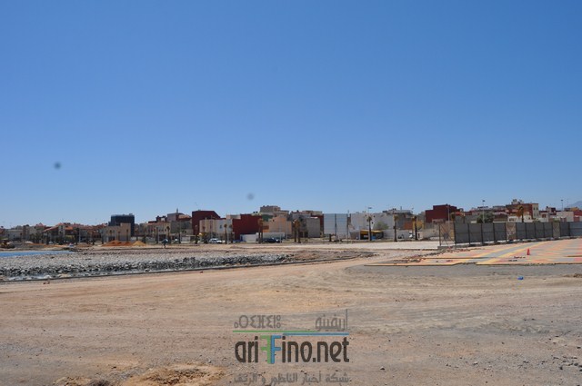 DSC_0078 (نسخ)