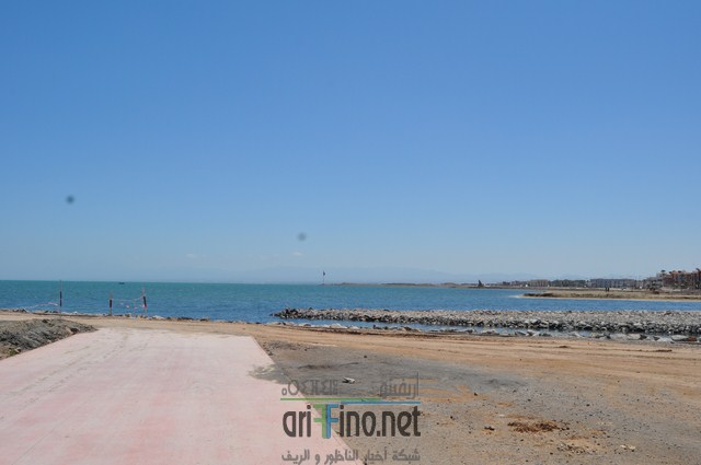 DSC_0080 (نسخ)
