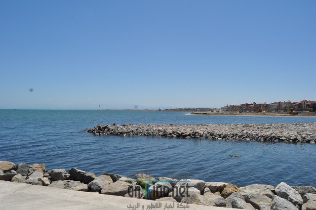 DSC_0082 (نسخ)