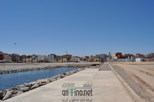 DSC_0084 (نسخ)