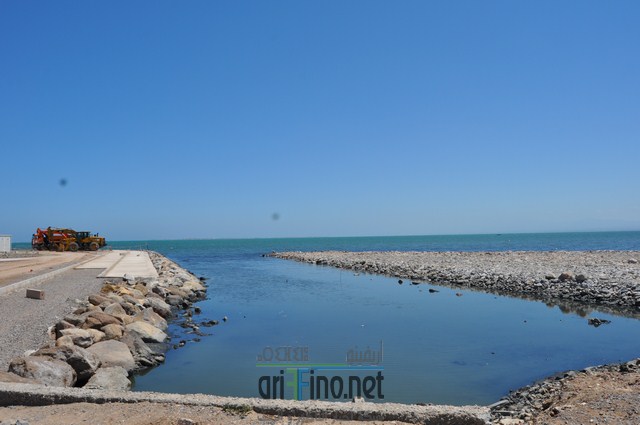 DSC_0088 (نسخ)