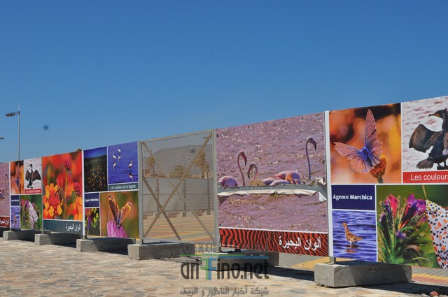 DSC_0091 (نسخ)