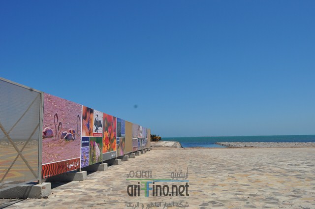 DSC_0092 (نسخ)