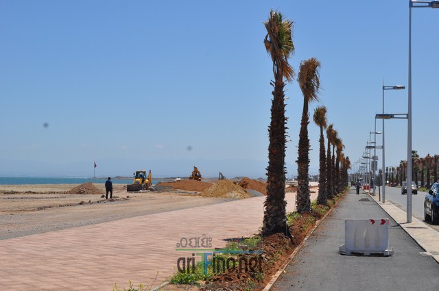 DSC_0097 (نسخ)