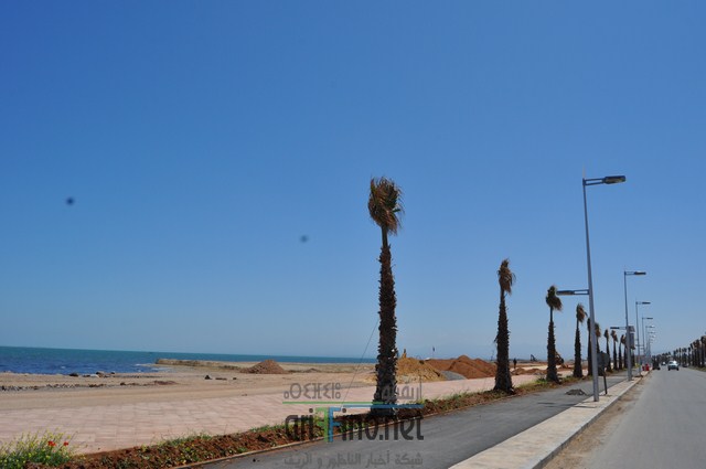 DSC_0102 (نسخ)