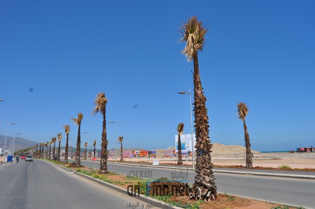 DSC_0103 (نسخ)