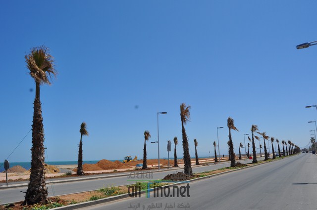 DSC_0104 (نسخ)