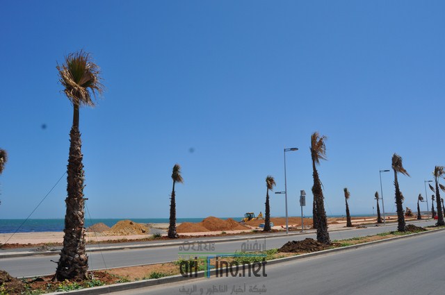 DSC_0105 (نسخ)