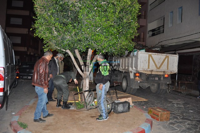 DSC_0106 (نسخ)