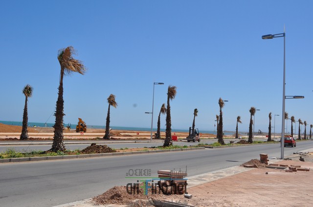 DSC_0109 (نسخ)