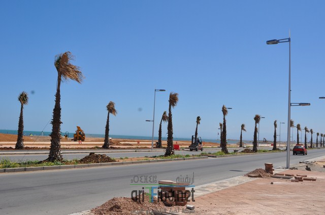 DSC_0110 (نسخ)