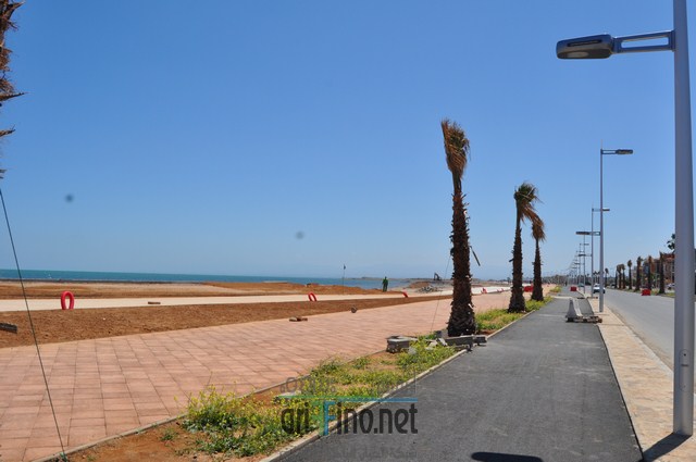 DSC_0118 (نسخ)