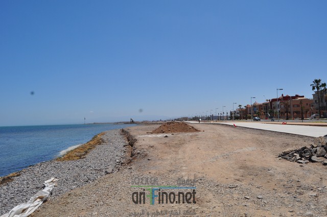 DSC_0123 (نسخ)