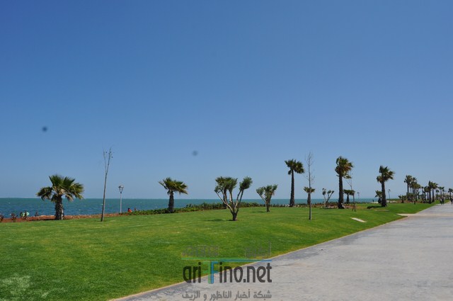 DSC_0140 (نسخ)