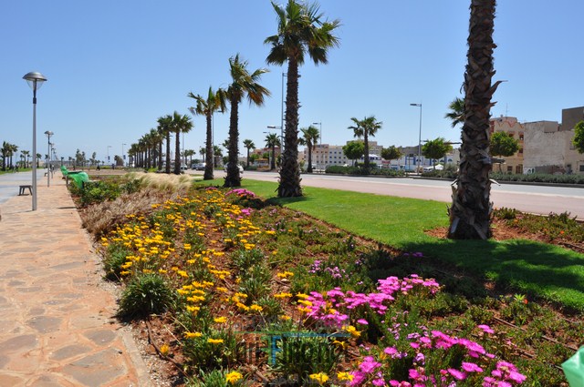DSC_0142 (نسخ)
