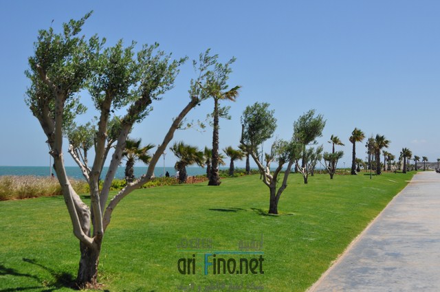 DSC_0143 (نسخ)