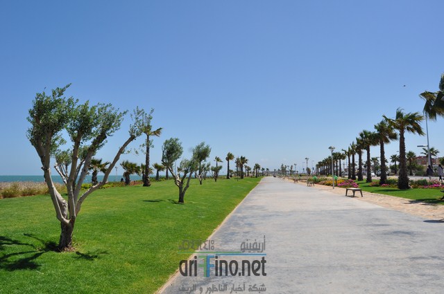 DSC_0144 (نسخ)