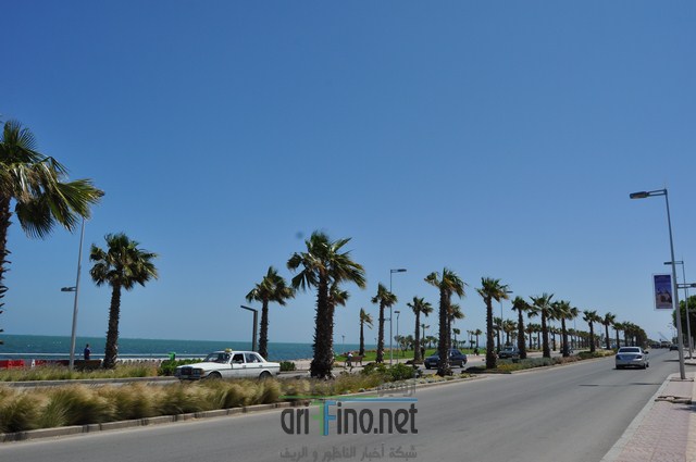 DSC_0148 (نسخ)