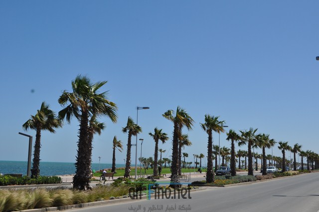 DSC_0149 (نسخ)