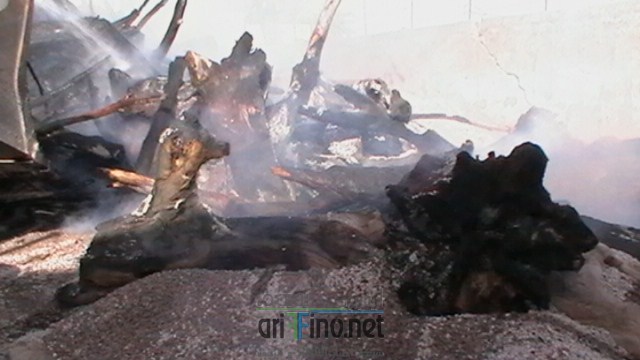 IMGA0053 (نسخ)