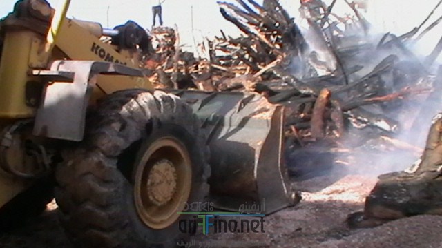IMGA0056 (نسخ)