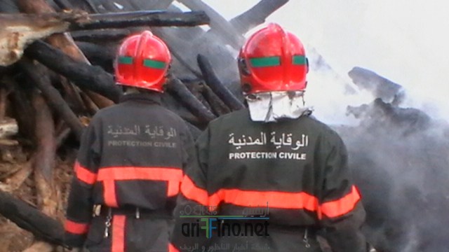 IMGA0077 (نسخ)