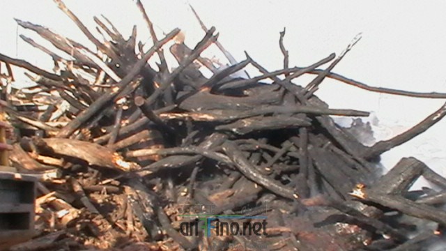 IMGA0086 (نسخ)