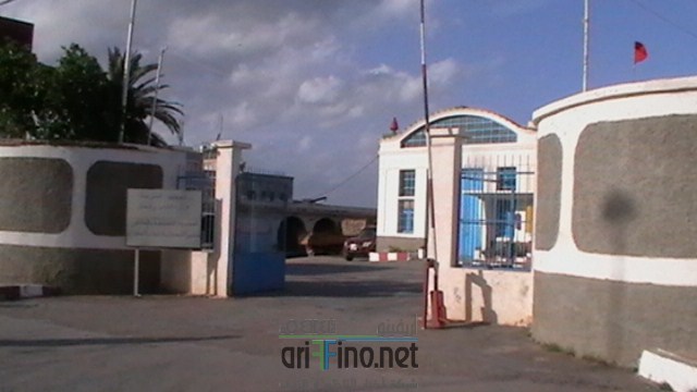 IMGA0117 (نسخ)