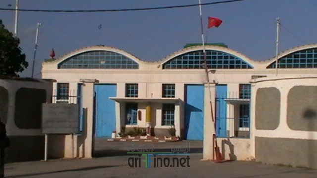 IMGA0120 (نسخ)