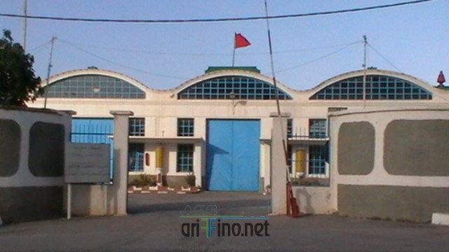 IMGA0122 (نسخ)