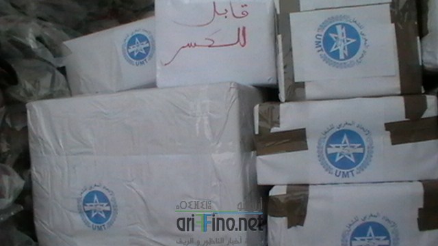 IMGA0300 (نسخ)