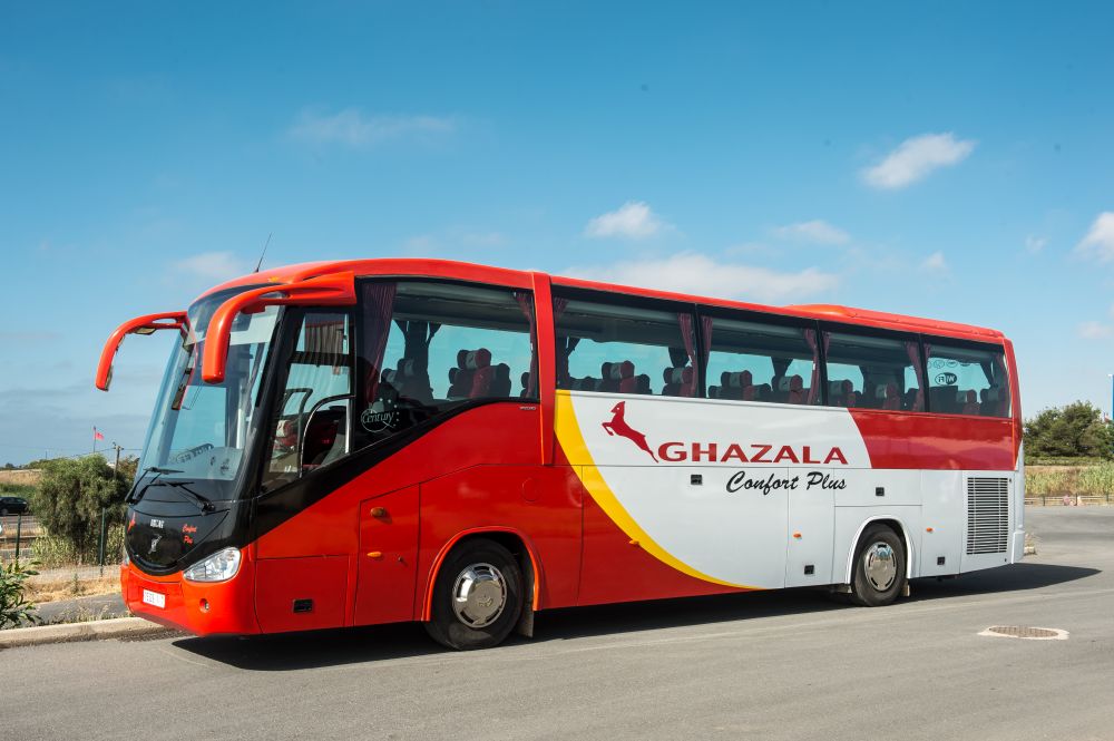 resized_ghazala (5)
