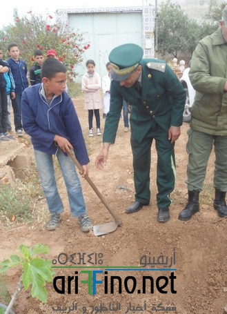 DSC07956 (Copier)