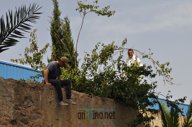 DSC_0005 (نسخ)