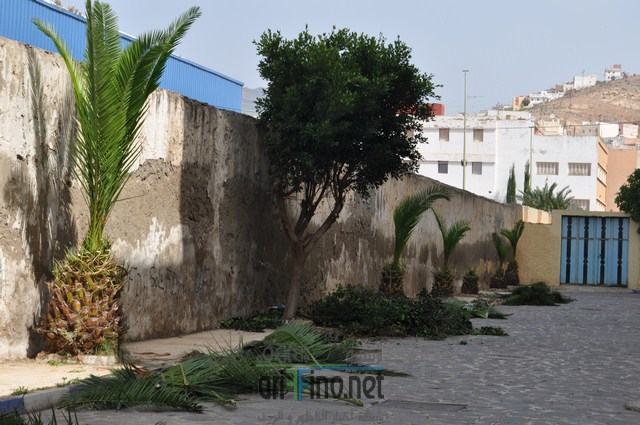 DSC_0006 (نسخ)