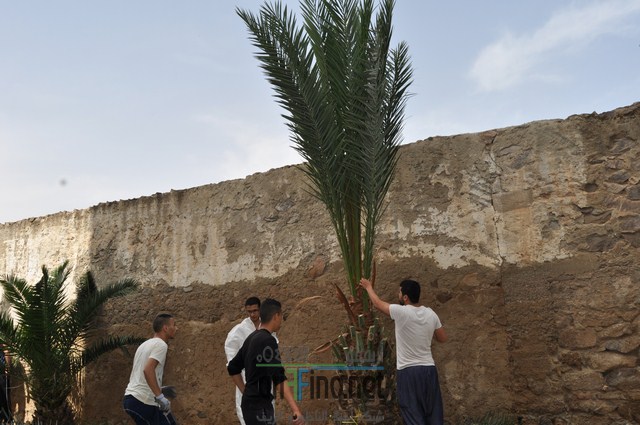 DSC_0009 (نسخ)