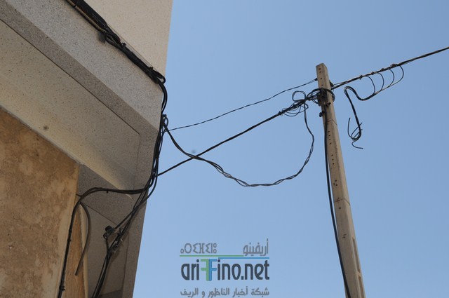 DSC_0010 (نسخ)
