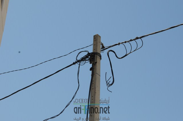 DSC_0013 (نسخ)