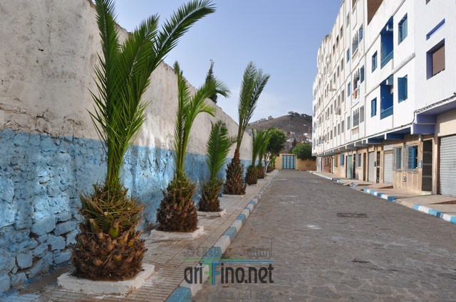 DSC_0016 (نسخ)