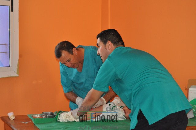 DSC_0031 (نسخ)